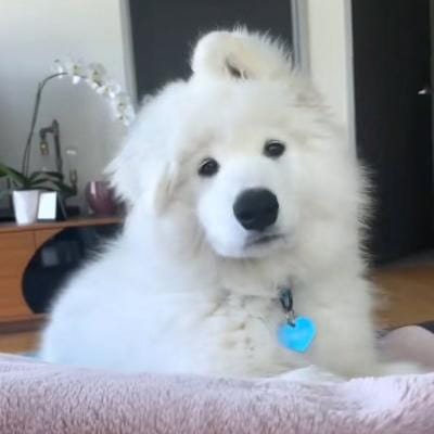 Sebastián Vásquez avatar